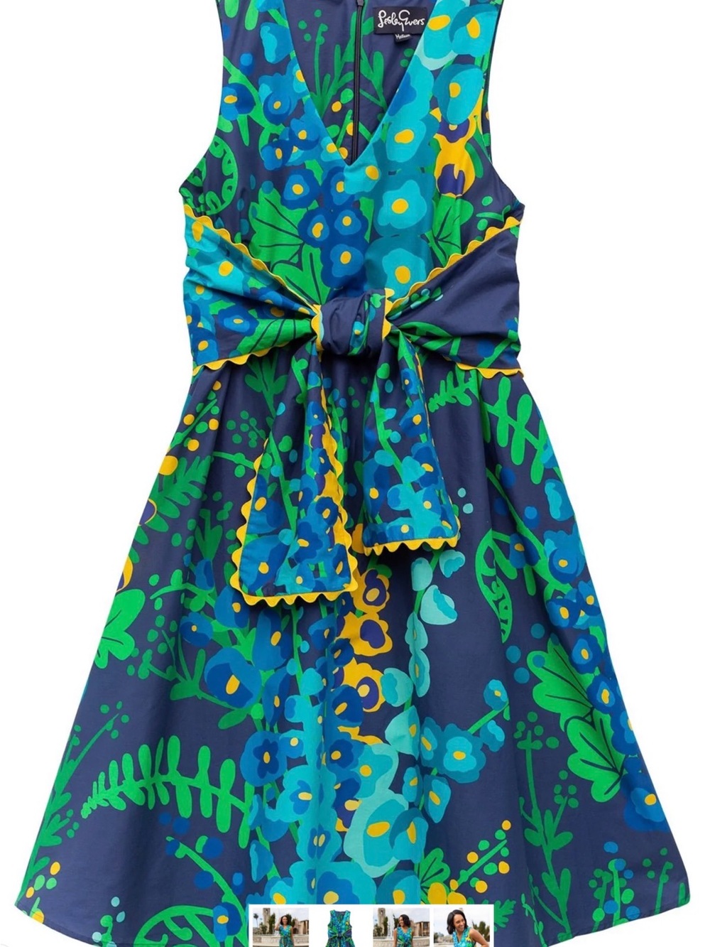Lesley Evers Meredith dress XL NIB